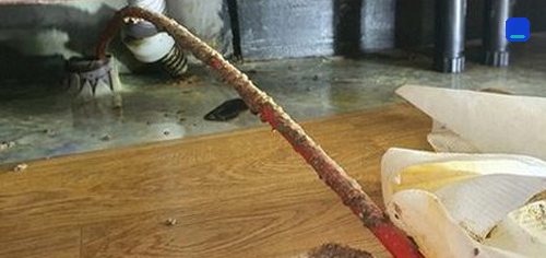 아산시 · 상담 후 방문 작업 고객 글 사진