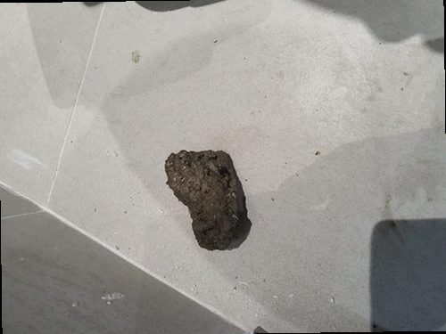 아산시 실옥동 하수구막힘 욕실 바닥 배수 상태를 확인하는 현장 점검 모습